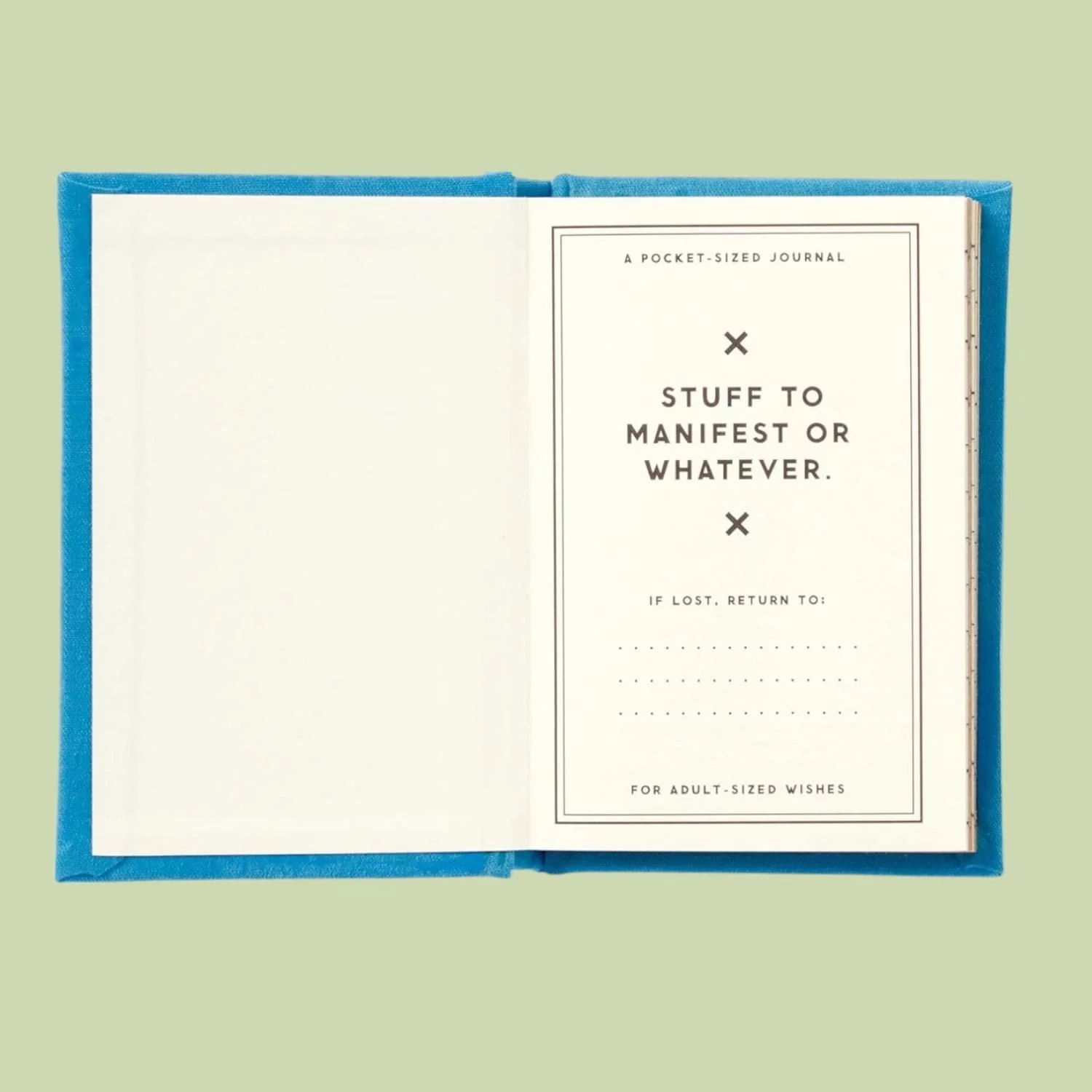 A Tiny Diary of Hopes and Dreams - Image 2
