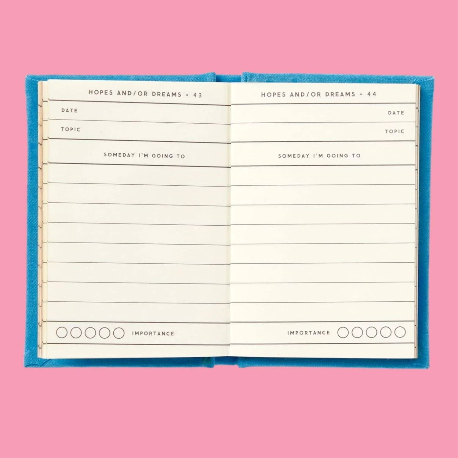 A Tiny Diary of Hopes and Dreams - Image 3