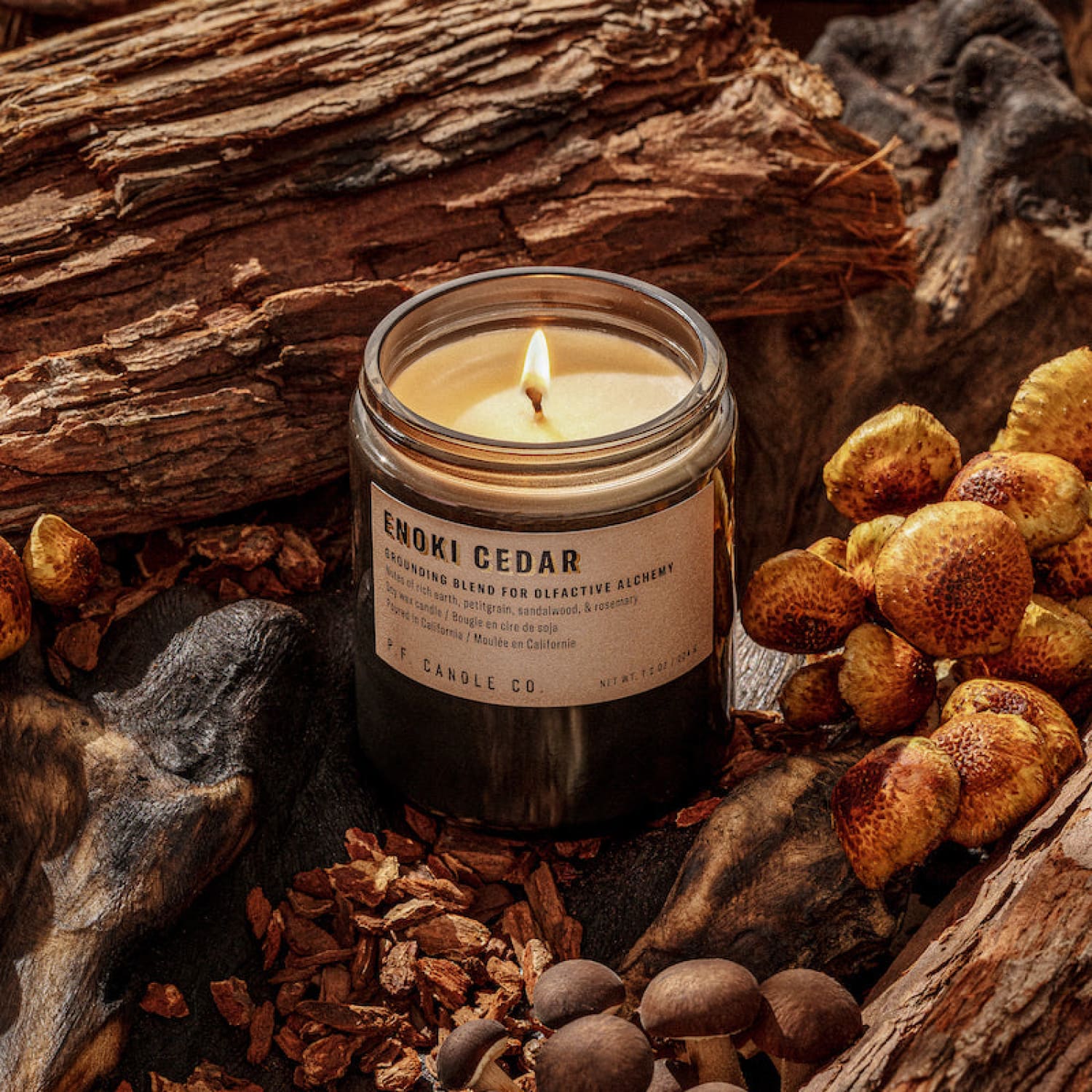 P.F. Candle Co. Alchemy Soy Candle