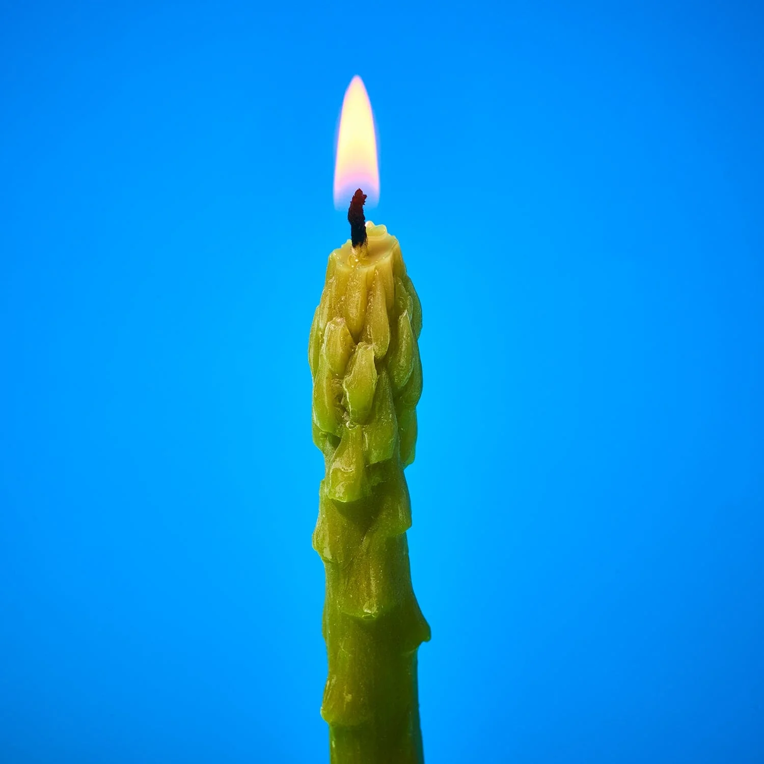 Asparagus Beeswax Taper Candles - Image 2