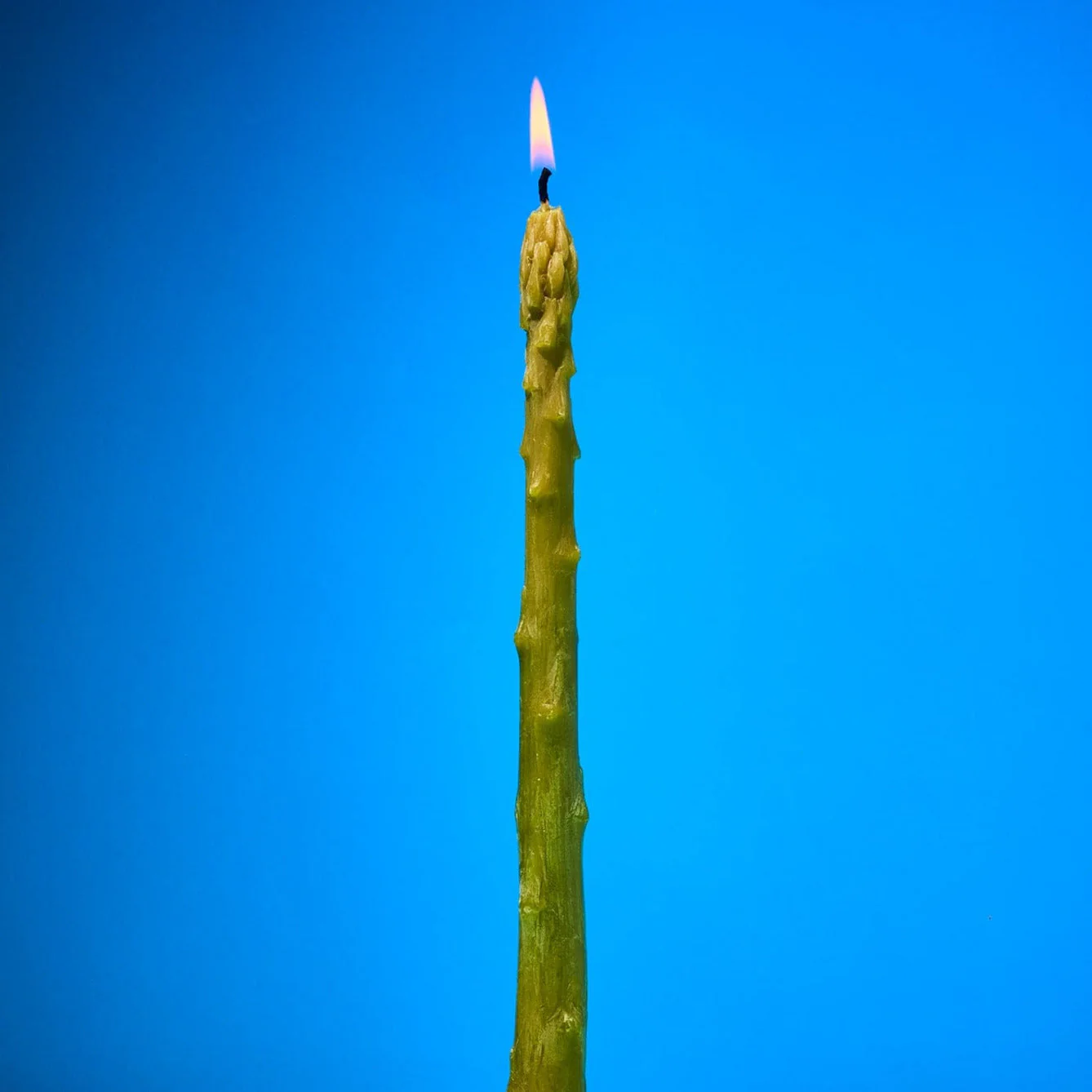 Asparagus Beeswax Taper Candles - Image 6