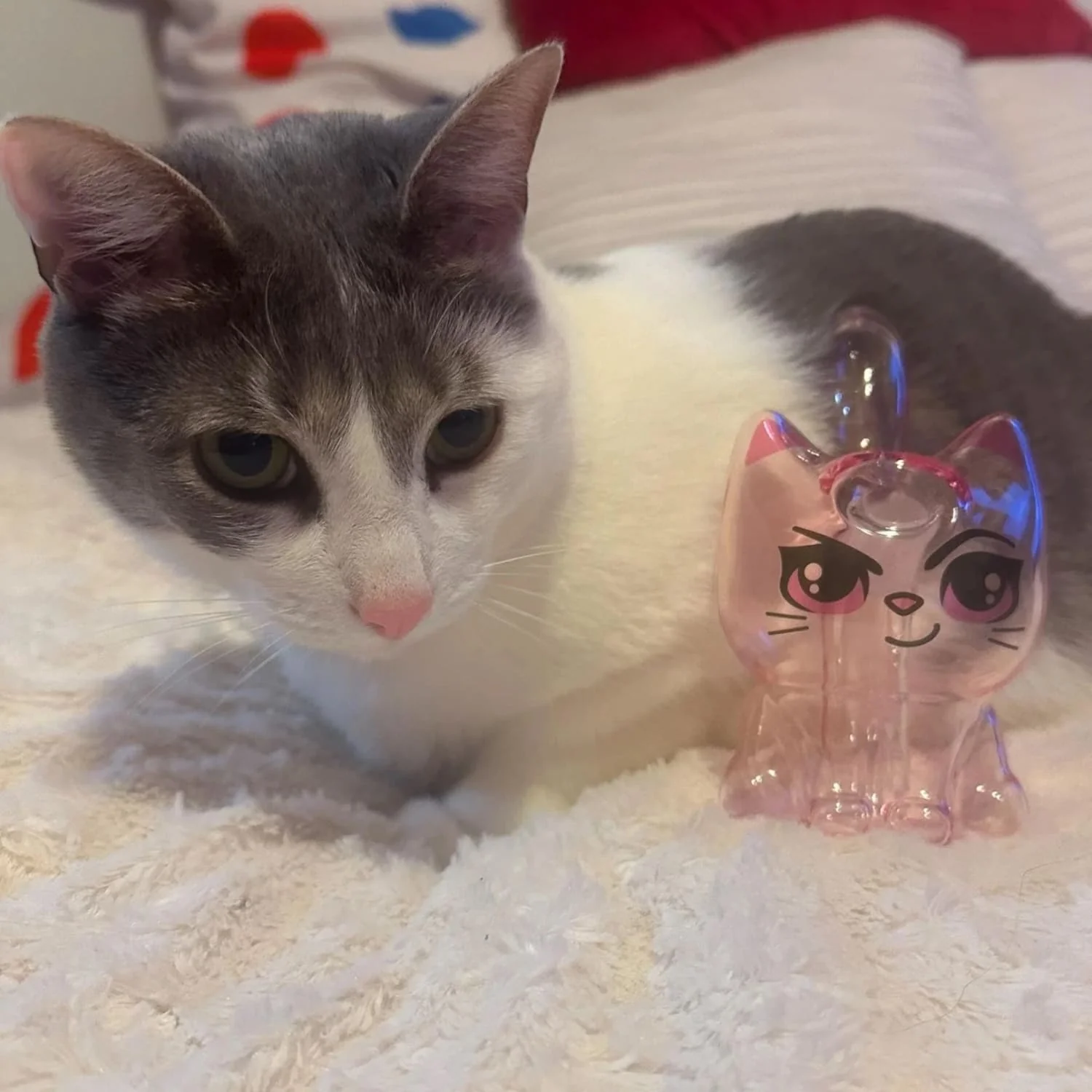 Canna Cat Bubbler Bong - Image 2