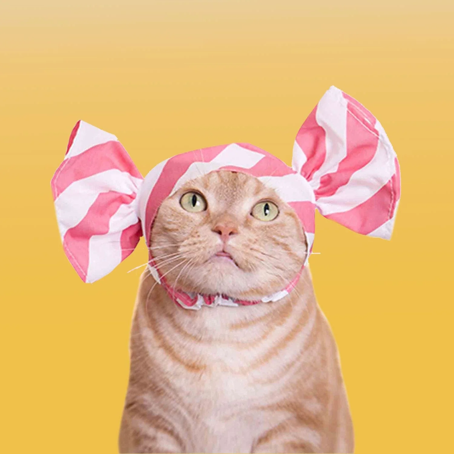 Cat Cap Candy Hat - Blind Box - Image 8