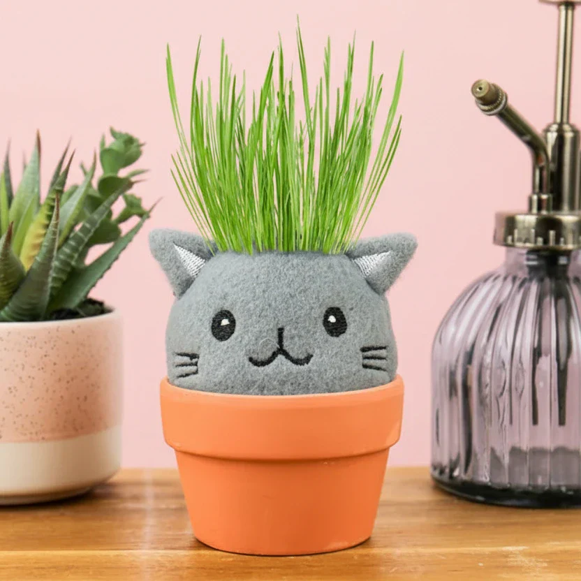 Cat Pal Grow Kit Garden - Image 3