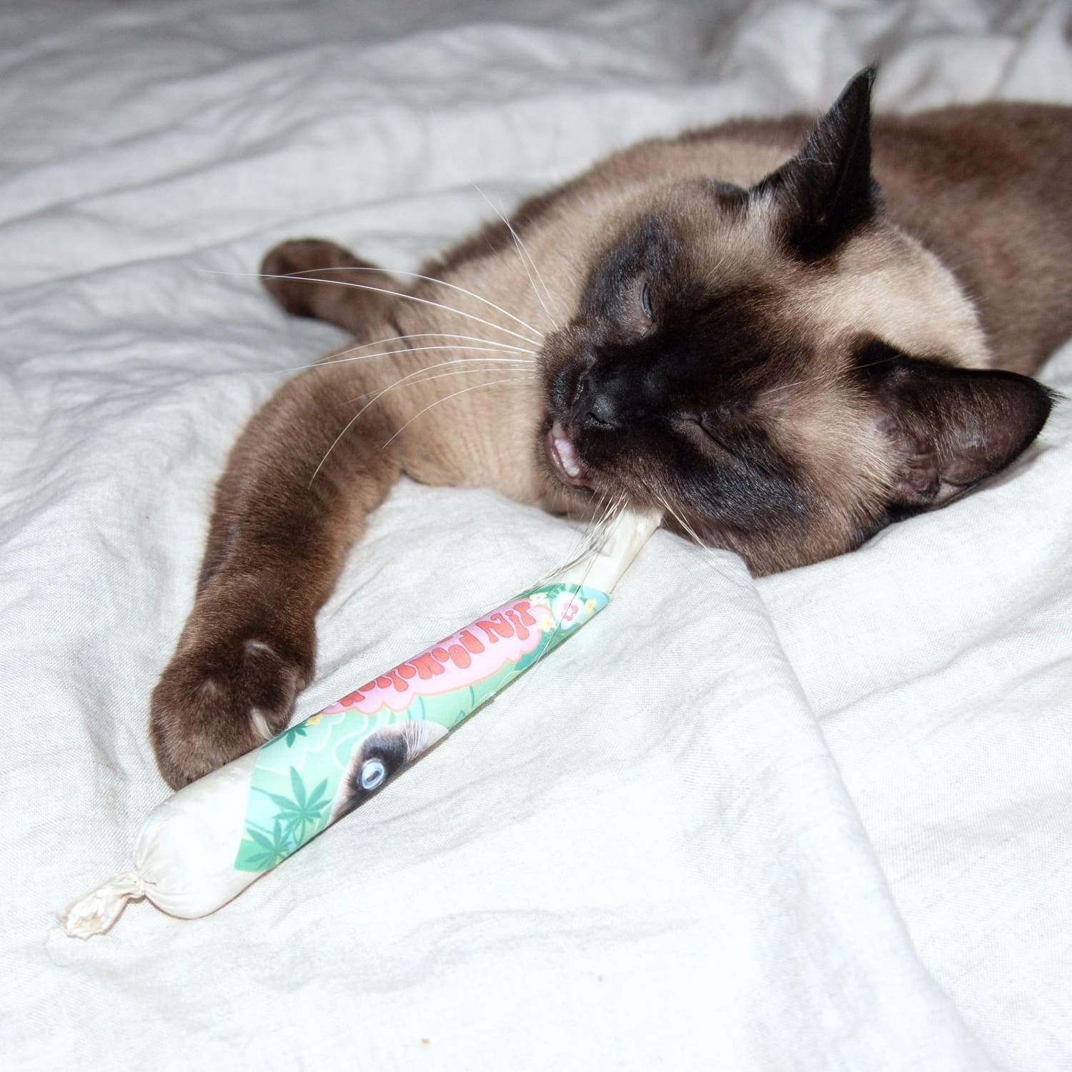 Catnip Joint Toy - Image 4