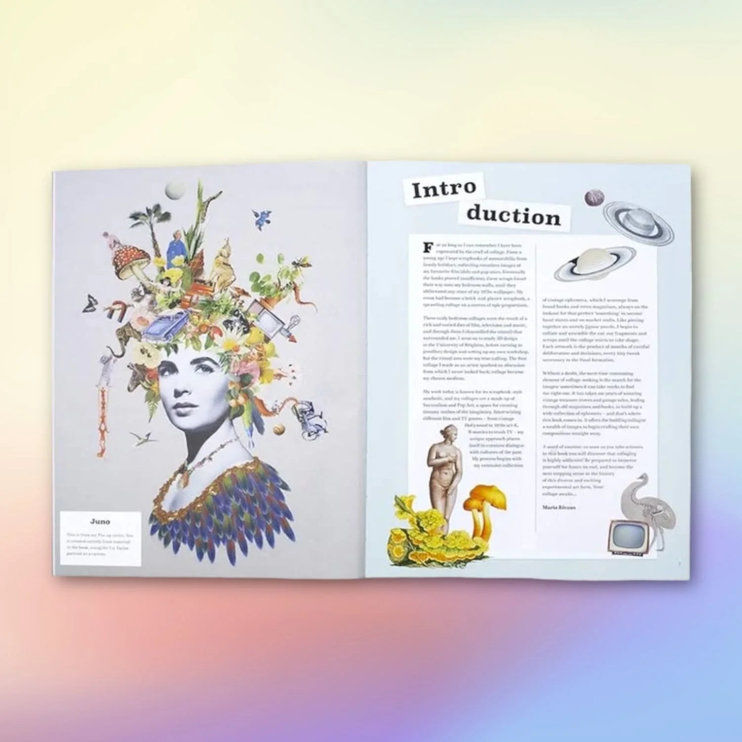 Extraordinary Things to Cut Out and Collage - Image 6