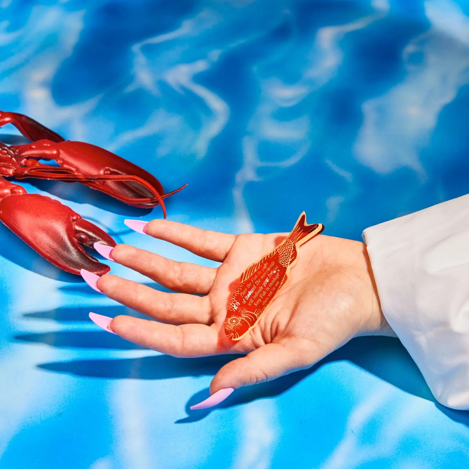 Fortune Fish - Image 4