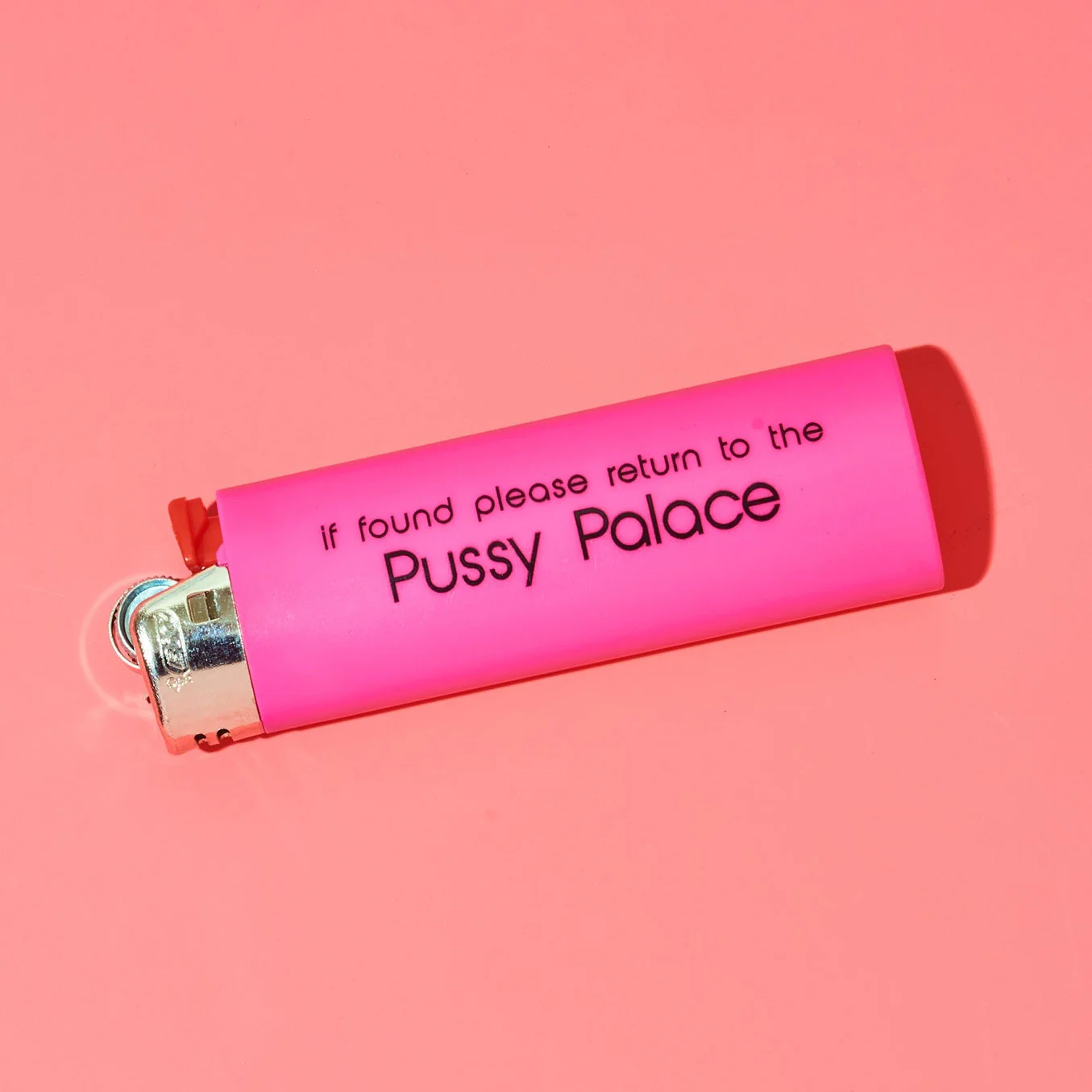 Friends NYC Bic Lighter - Pussy Palace