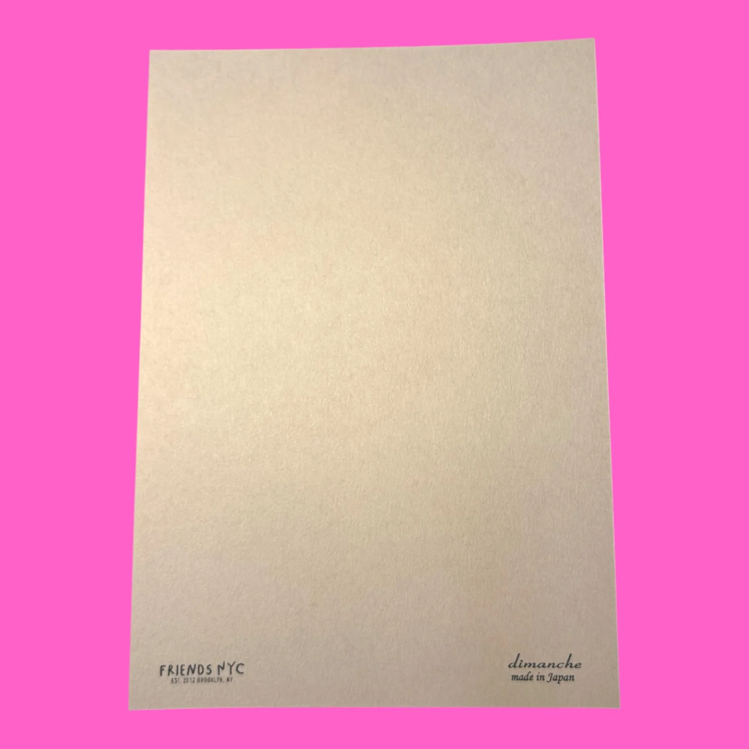 Hand Silkscreen Postcard - Chappell Cat - Image 4