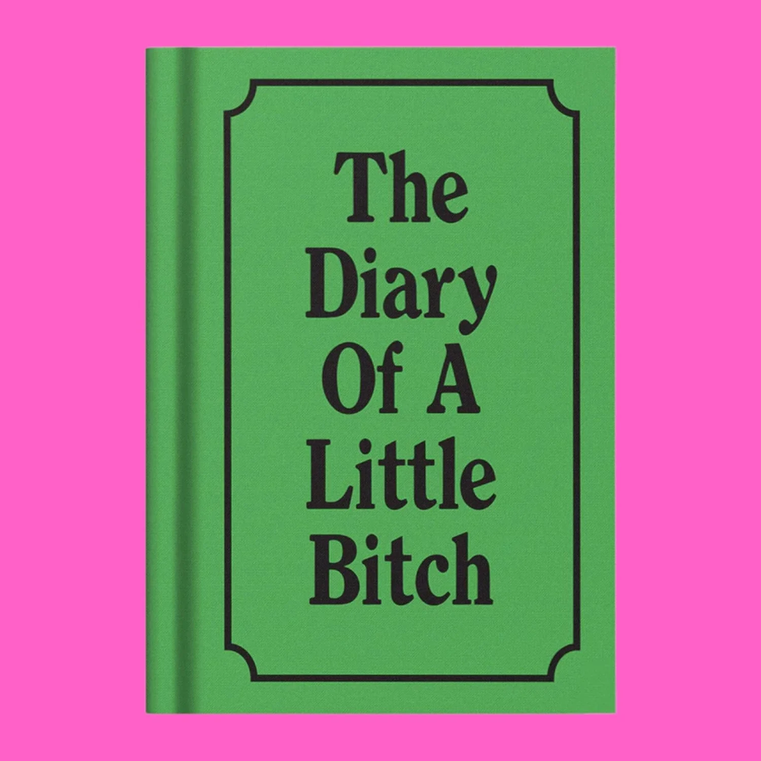 Diary of a Little Bitch Mini Notebook