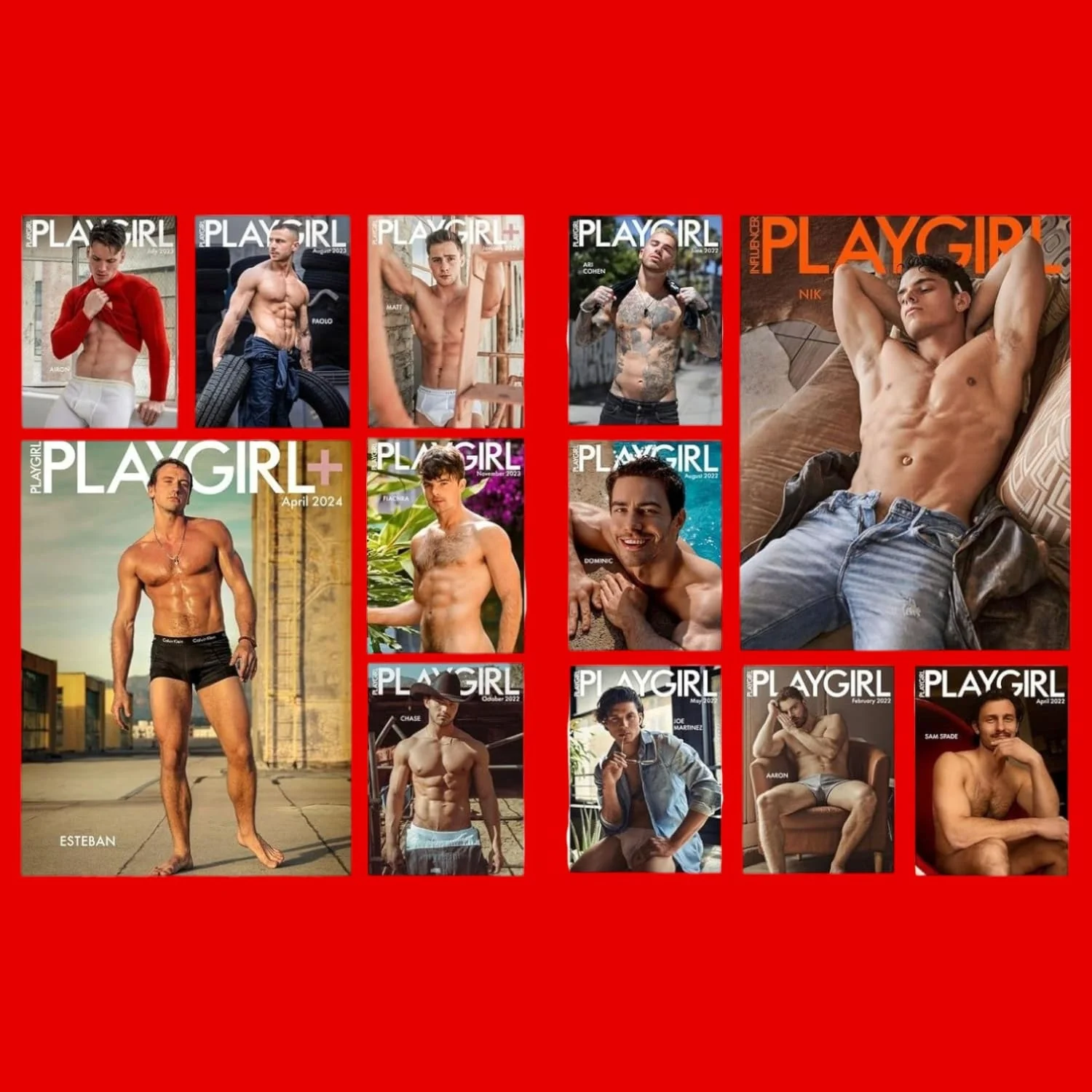 Playgirl: The Official History of a Cult Magazine - Image 3