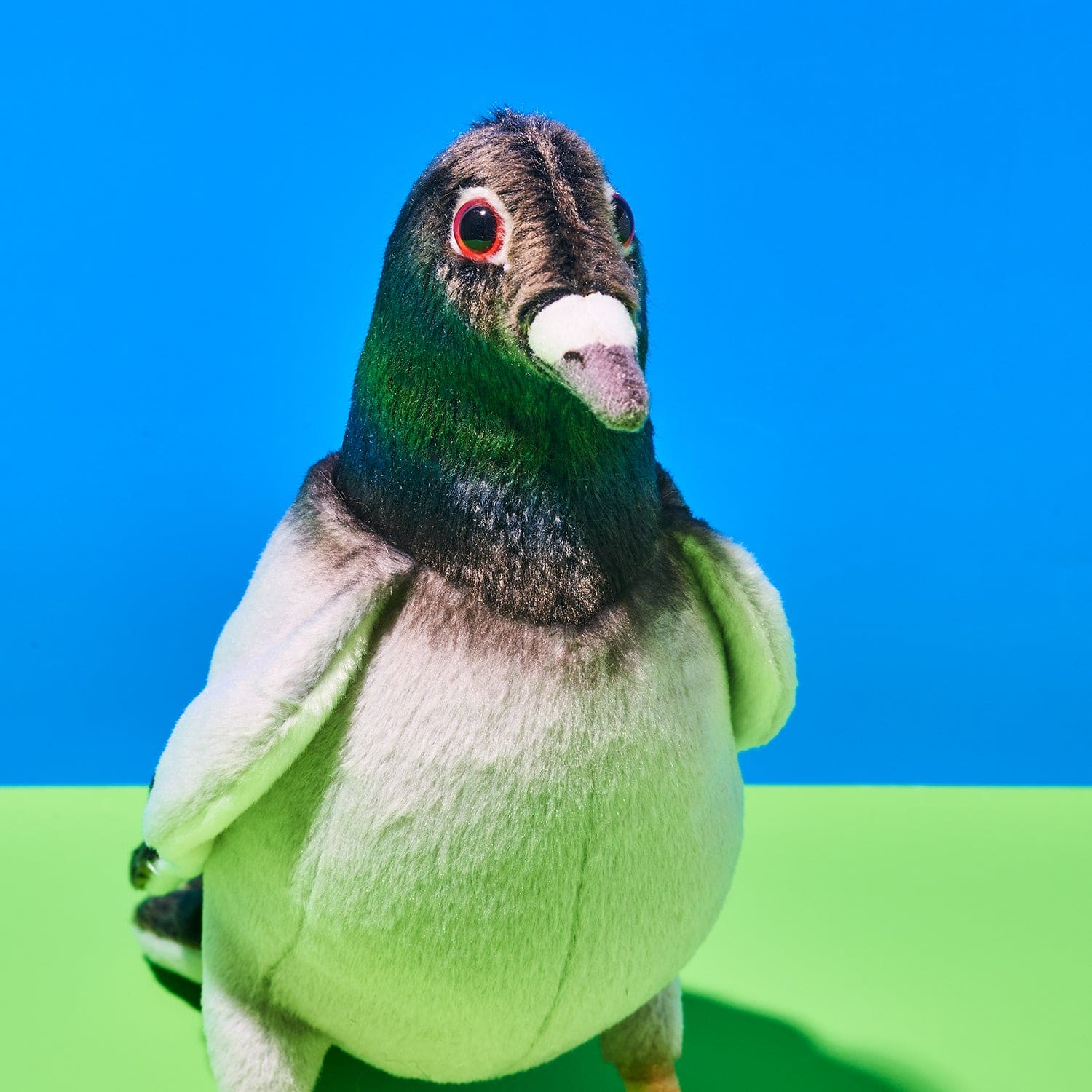Plush Pigeon - Image 3