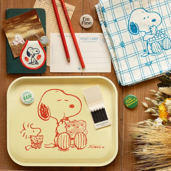 Snoopy & Woodstock Watermelon Tray - Image 2
