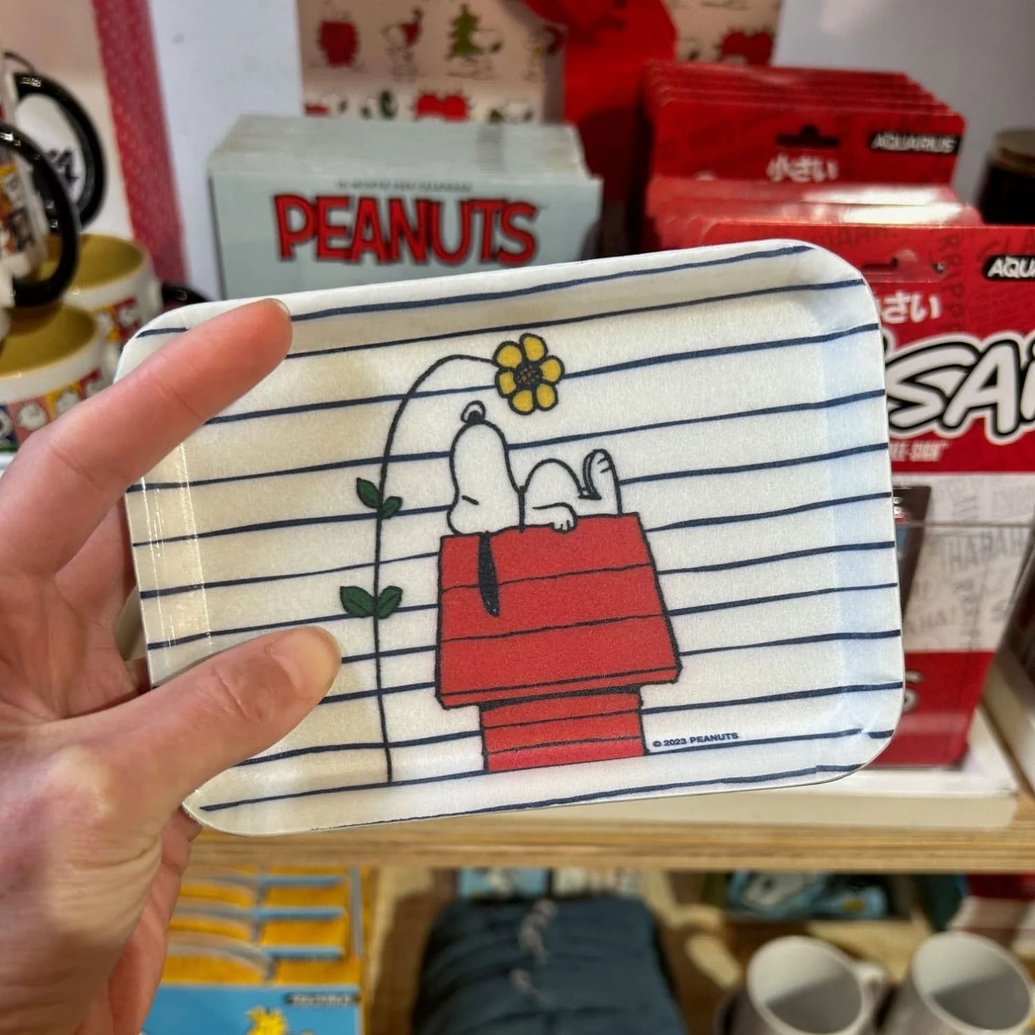 Snoopy Doghouse Trinket Tray