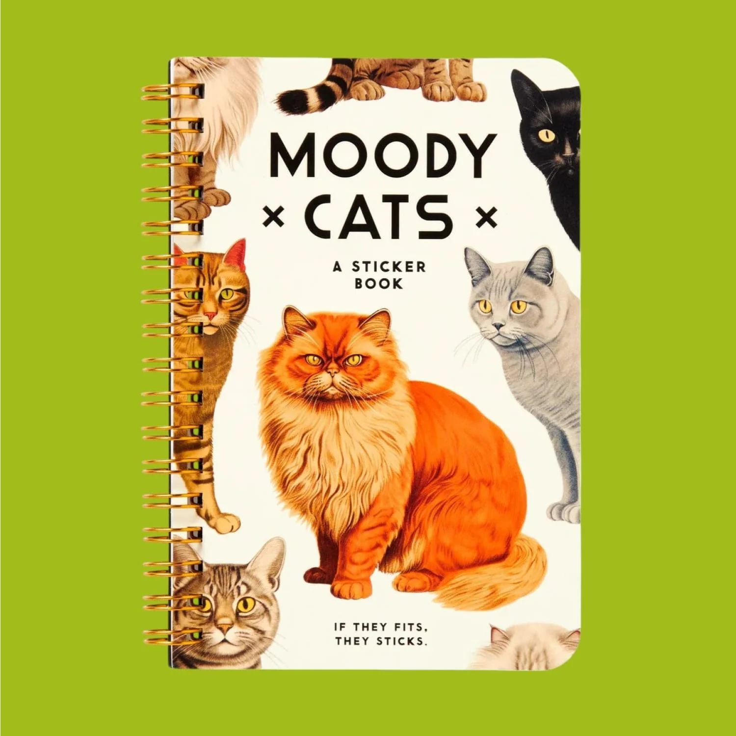 Sticker Book Moody Cats