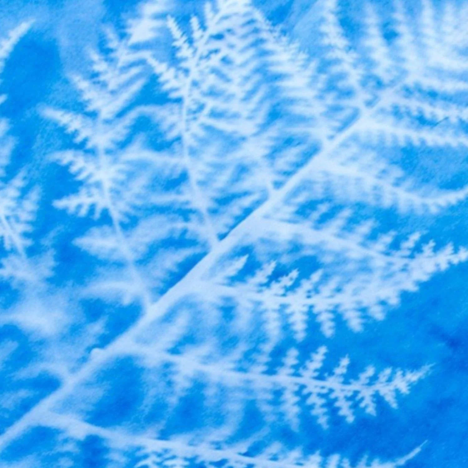 Sunprint Kit - Large - Image 4