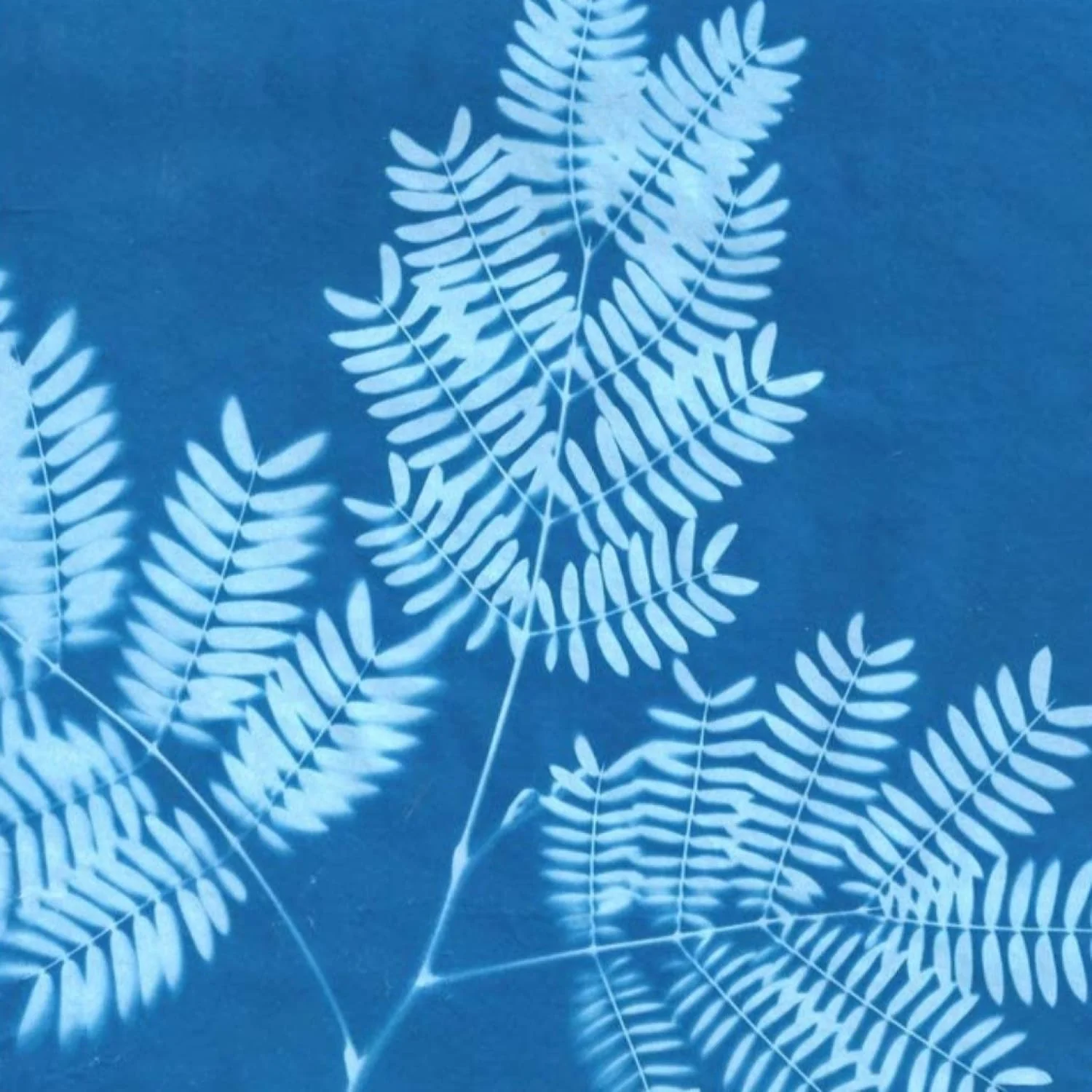 Sunprint Kit - Large - Image 8