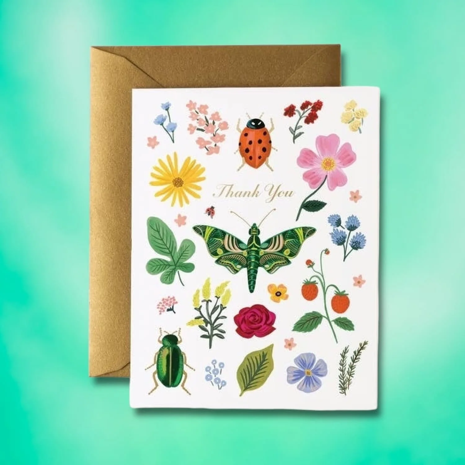 Thank You Curio Greeting Card