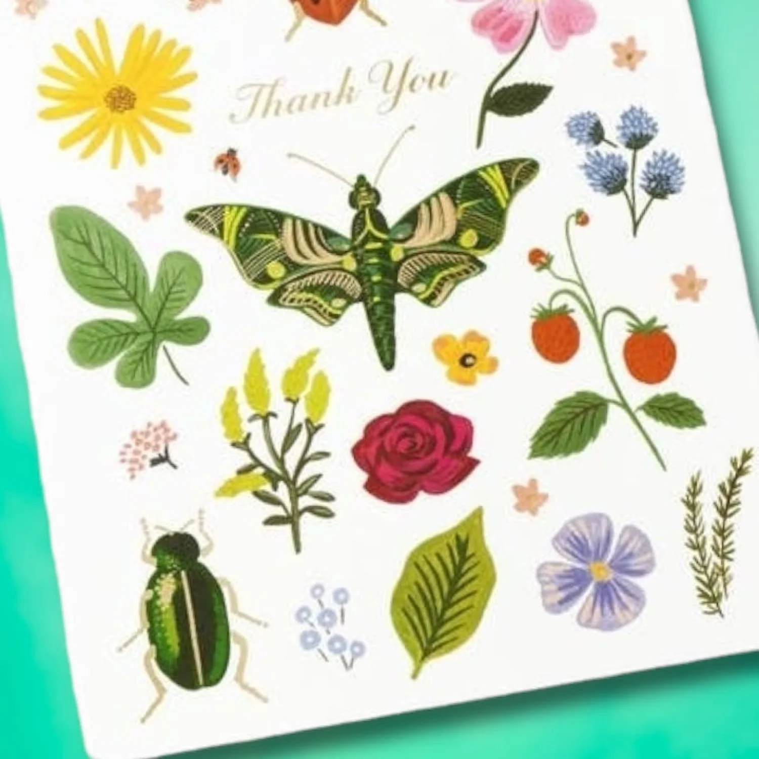 Thank You Curio Greeting Card - Image 2