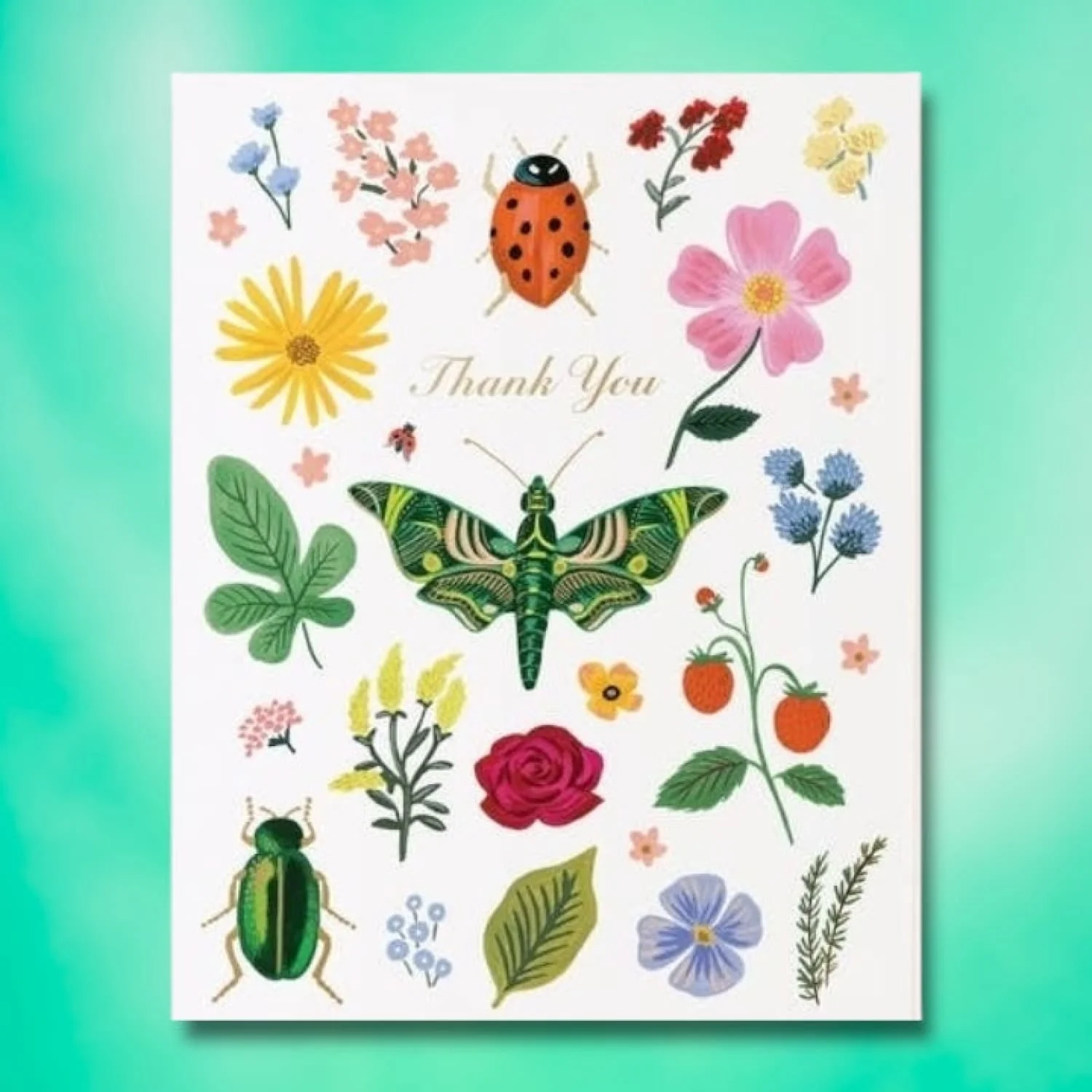 Thank You Curio Greeting Card - Image 3